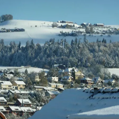 Carpe Diem Bed and Breakfast Steffisburg