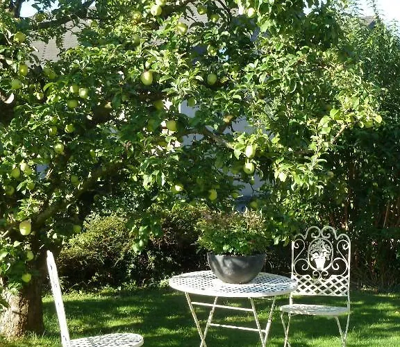 Carpe Diem Steffisburg