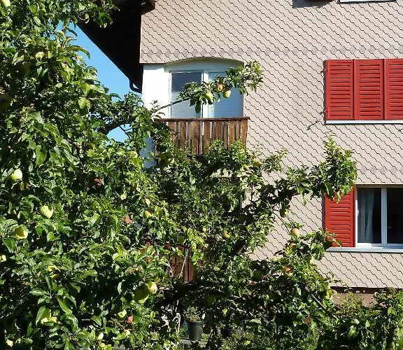 Bed & Breakfast Carpe Diem 3*