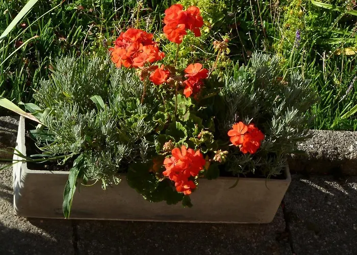 Carpe Diem Отель типа 